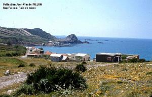 CAP FALCON (1076)